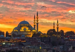 turkey-1