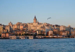 turkey-2